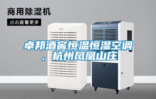 卓邦酒窖恒溫恒濕空調，杭州鳳凰山莊