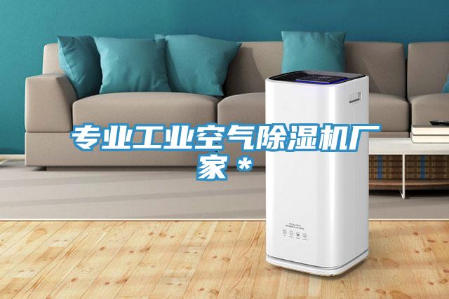 專業工業空氣草莓视频污污污污廠家＊