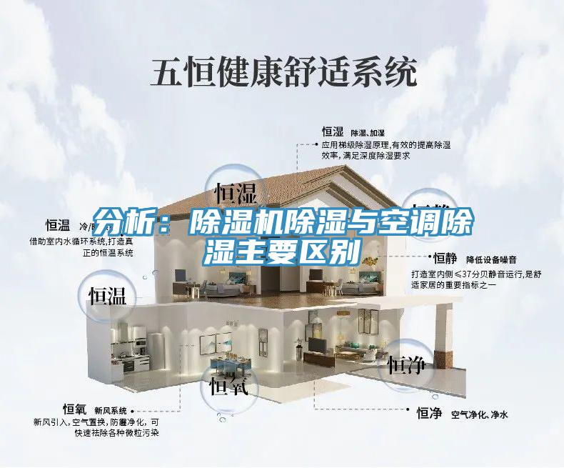 分析：草莓视频污污污污除濕與空調除濕主要區別