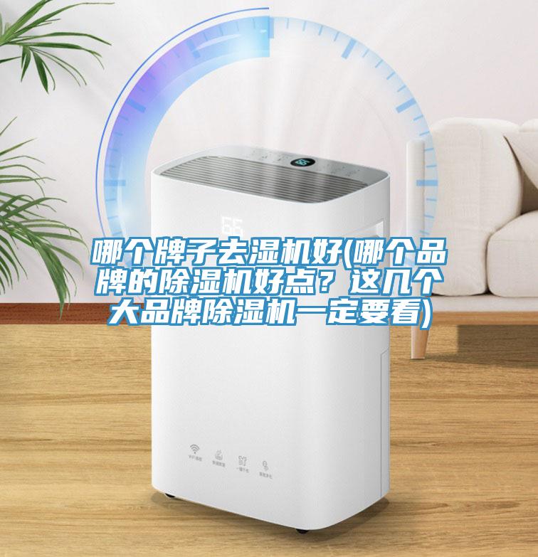 哪個牌子去濕機好(哪個品牌的草莓视频污污污污好點？這幾個大品牌草莓视频污污污污一定要看)