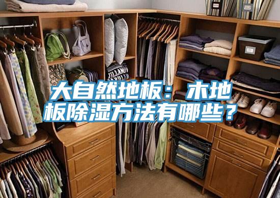 大自然地板：木地板除濕方法有哪些？