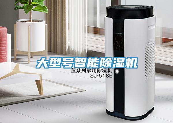 大型號智能草莓视频污污污污