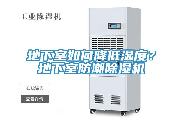 地下室如何降低濕度？地下室防潮草莓视频污污污污