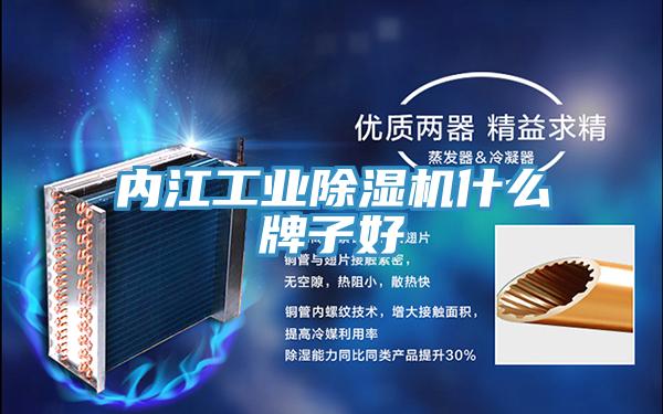 內江工業草莓视频污污污污什麽牌子好