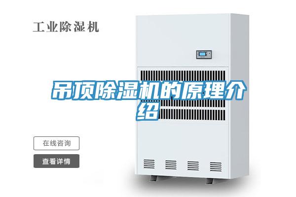 吊頂草莓视频污污污污的原理介紹