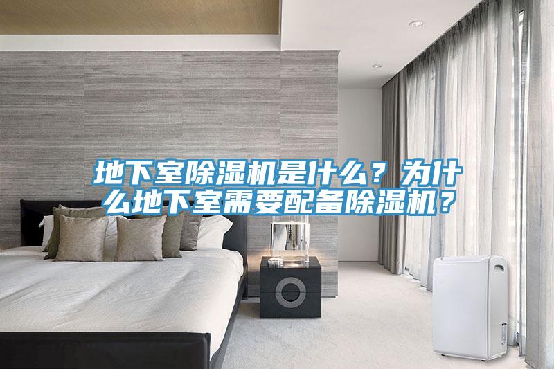 地下室草莓视频污污污污是什麽？為什麽地下室需要配備草莓视频污污污污？