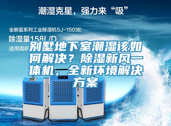 別墅地下室潮濕該如何解決？除濕新風一體機，全新環境解決方案