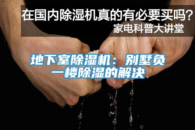 地下室草莓视频污污污污：別墅負一樓除濕的解決