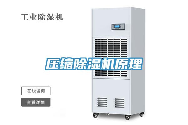 壓縮草莓视频污污污污原理
