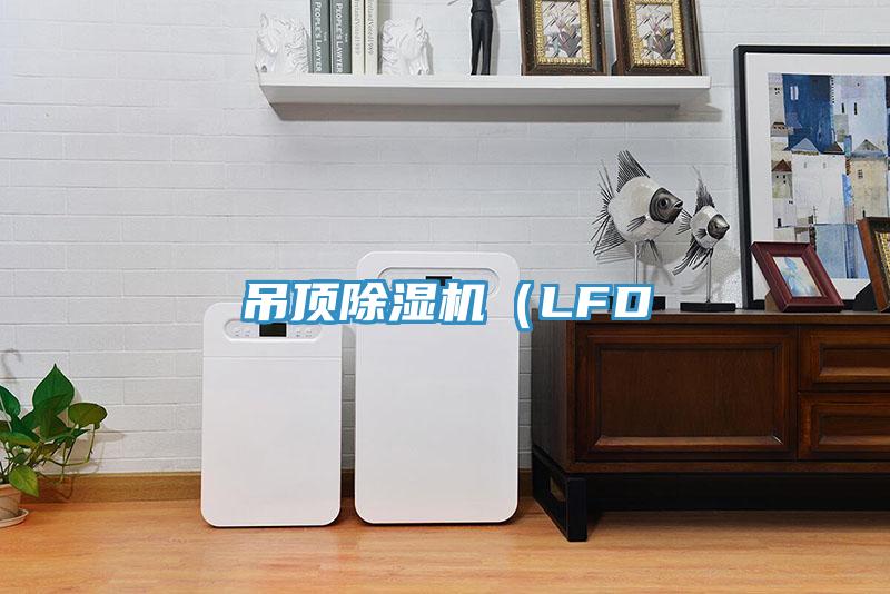 吊頂草莓视频污污污污（LFD