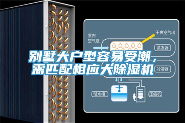 別墅大戶型容易受潮，需匹配相應大草莓视频污污污污
