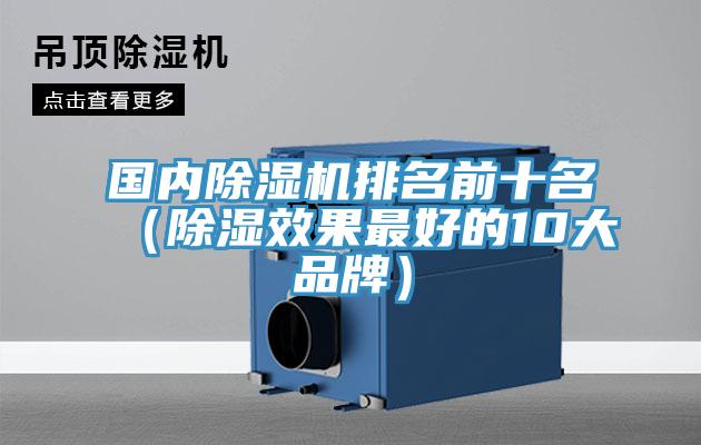 國內草莓视频污污污污排名前十名（除濕效果最好的10大品牌）