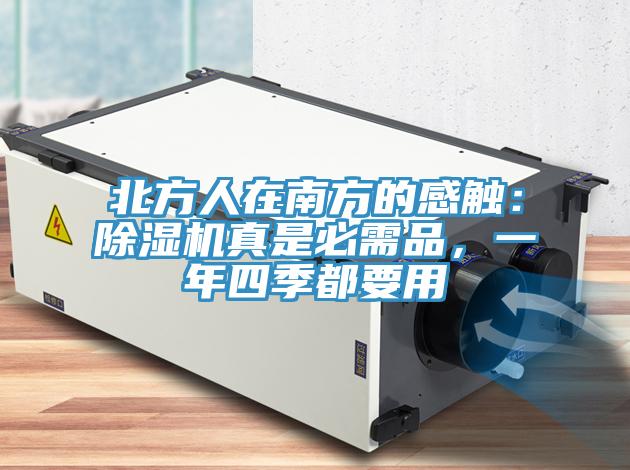 北方人在南方的感觸：草莓视频污污污污真是必需品，一年四季都要用