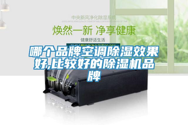 哪個品牌空調除濕效果好,比較好的草莓视频污污污污品牌