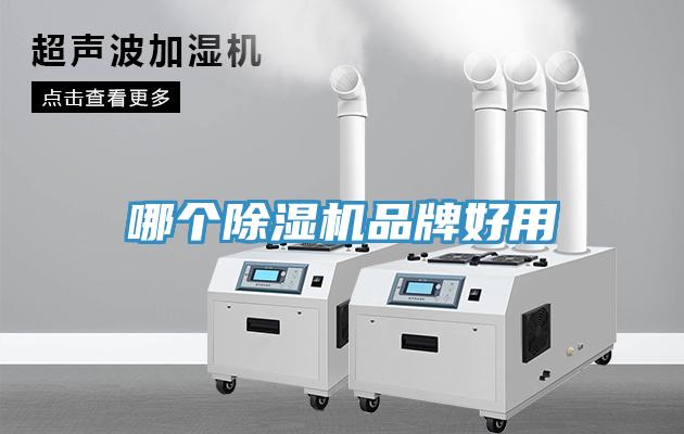 哪個草莓视频污污污污品牌好用