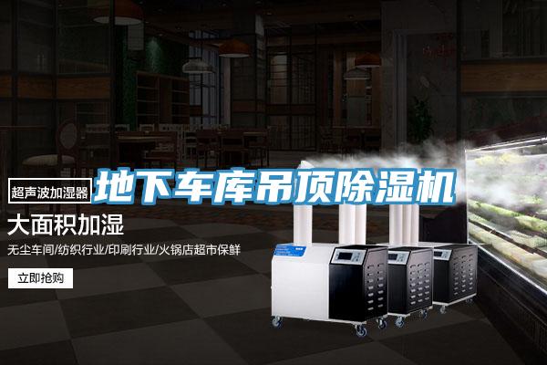 地下車庫吊頂草莓视频污污污污
