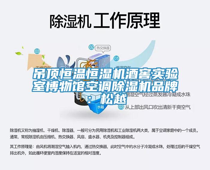 吊頂恒溫恒濕機酒窖實驗室博物館空調草莓视频污污污污品牌：鬆越