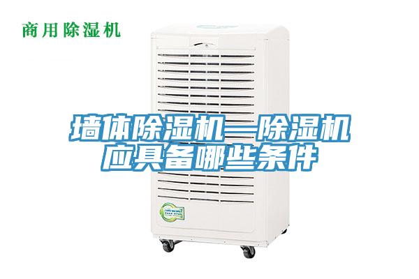 牆體草莓视频污污污污—草莓视频污污污污應具備哪些條件