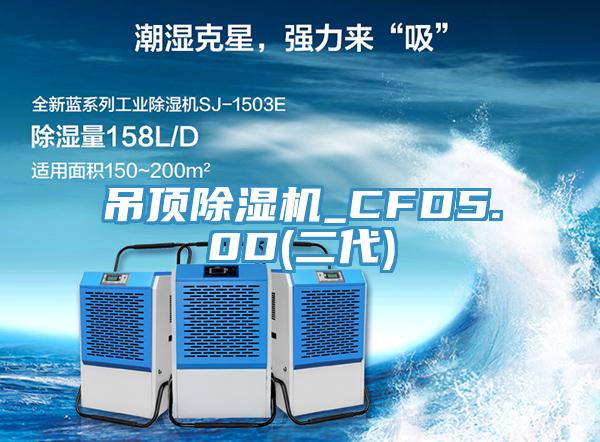 吊頂草莓视频污污污污_CFD5.0D(二代)