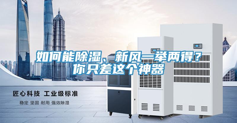 如何能除濕、新風一舉兩得？你隻差這個神器
