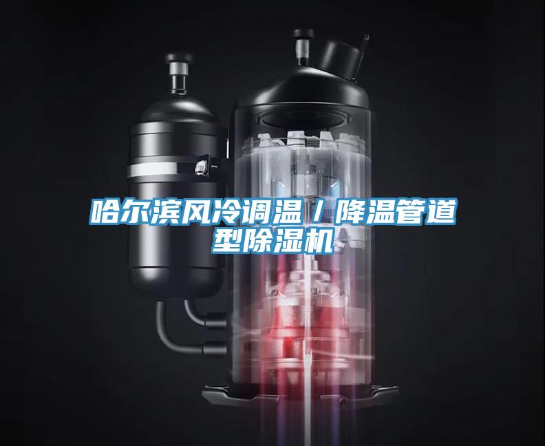 哈爾濱風冷調溫／降溫管道型草莓视频污污污污