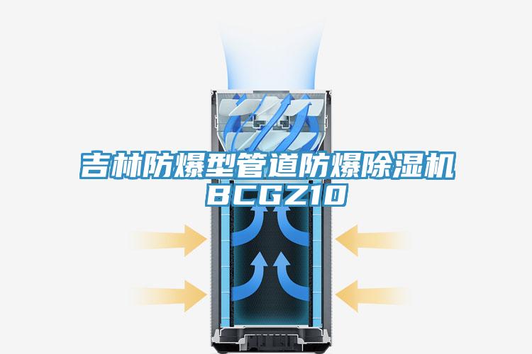 吉林防爆型管道防爆草莓视频污污污污 BCGZ10