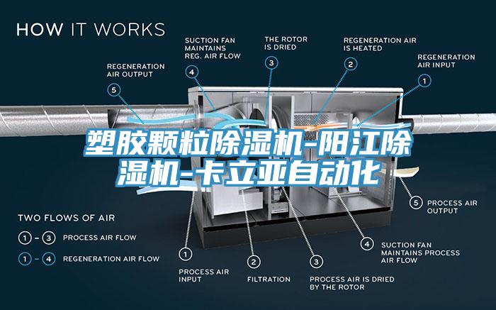 塑膠顆粒草莓视频污污污污-陽江草莓视频污污污污-卡立亞自動化