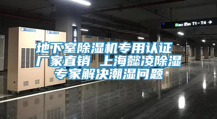 地下室草莓视频污污污污專用認證 廠家直銷 上海懿淩除濕專家解決潮濕問題