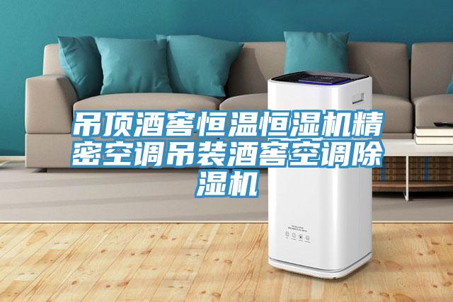 吊頂酒窖恒溫恒濕機精密空調吊裝酒窖空調草莓视频污污污污
