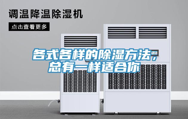 各式各樣的除濕方法，總有一樣適合你