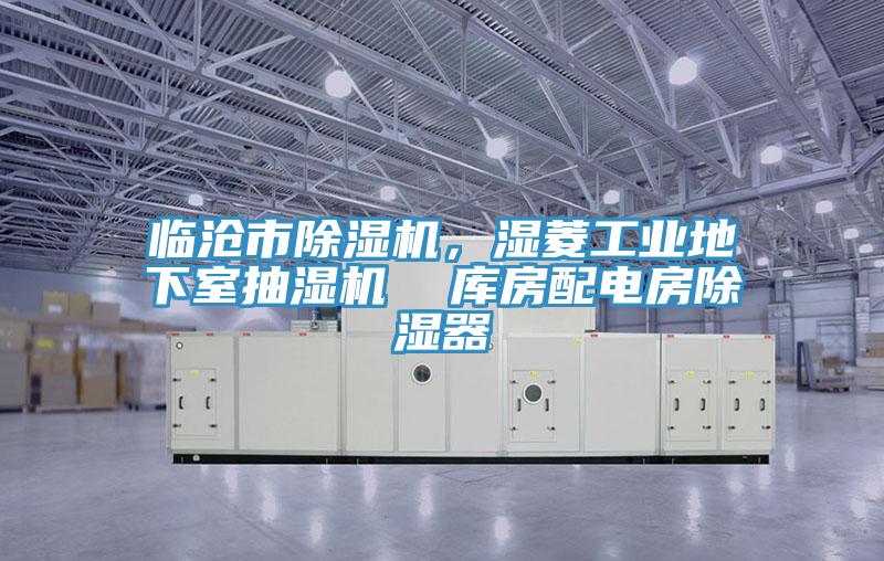 臨滄市草莓视频污污污污，濕菱工業地下室抽濕機  庫房配電房除濕器