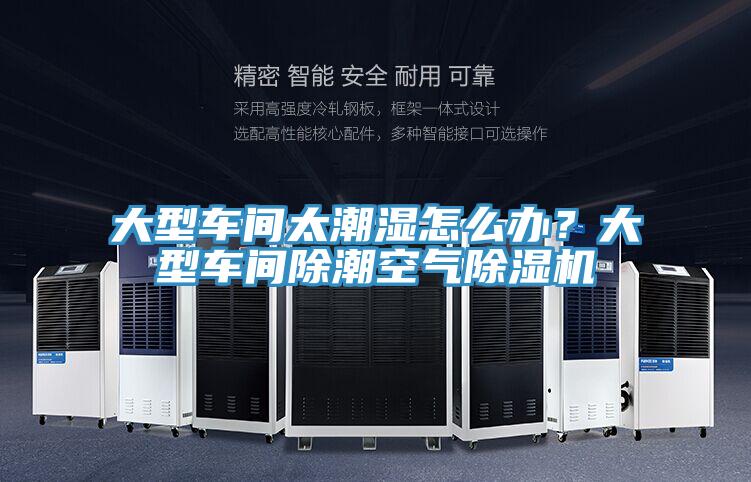 大型車間太潮濕怎麽辦？大型車間除潮空氣草莓视频污污污污