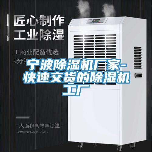 寧波草莓视频污污污污廠家-快速交貨的草莓视频污污污污工廠