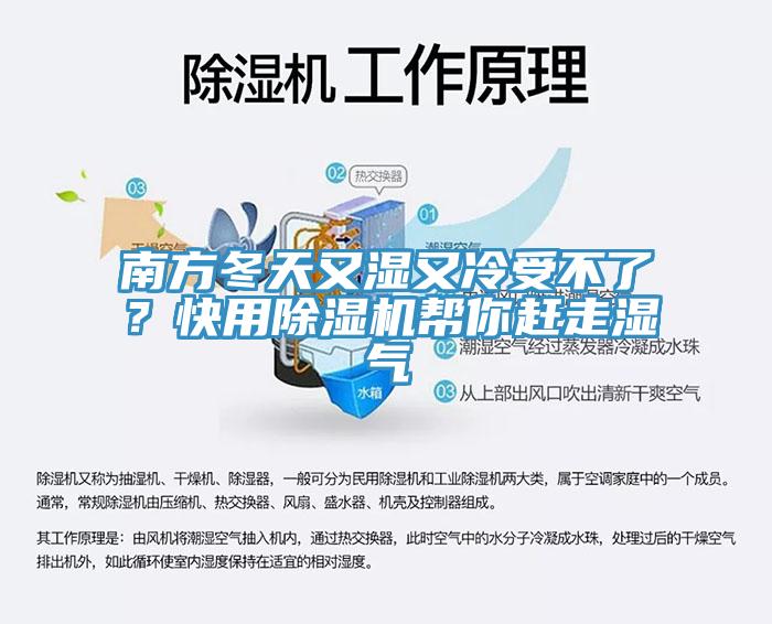 南方冬天又濕又冷受不了？快用草莓视频污污污污幫你趕走濕氣