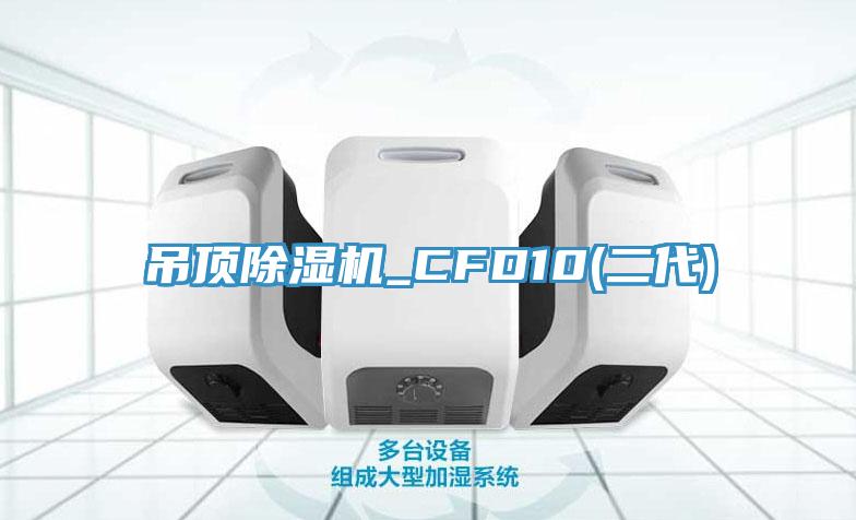 吊頂草莓视频污污污污_CFD10(二代)