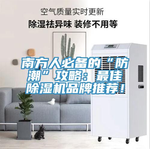 南方人必備的“防潮”攻略：最佳草莓视频污污污污品牌推薦！