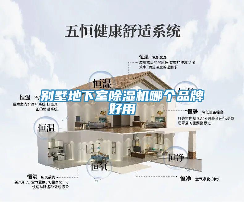 別墅地下室草莓视频污污污污哪個品牌好用