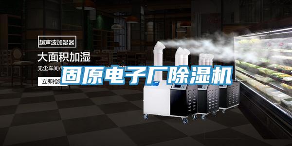 固原電子廠草莓视频污污污污