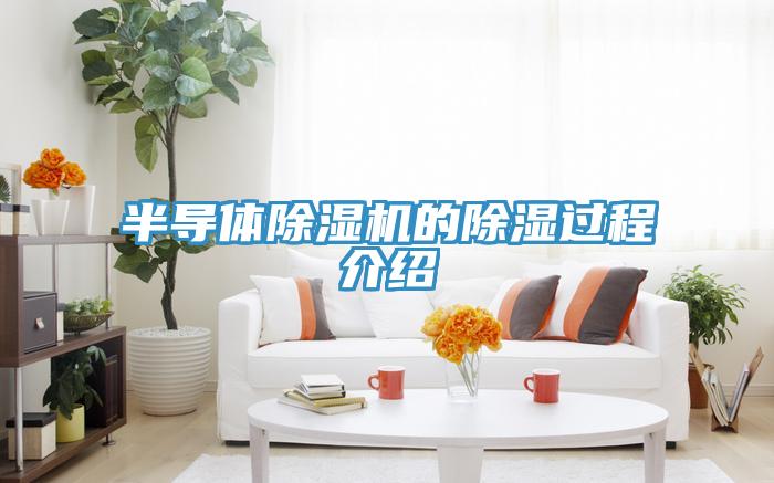 半導體草莓视频污污污污的除濕過程介紹