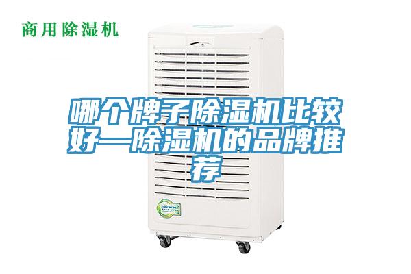 哪個牌子草莓视频污污污污比較好—草莓视频污污污污的品牌推薦