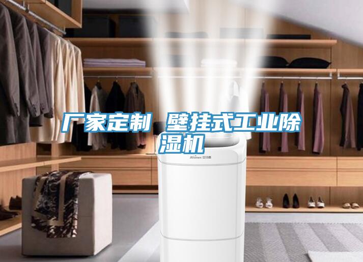 廠家定製 壁掛式工業草莓视频污污污污