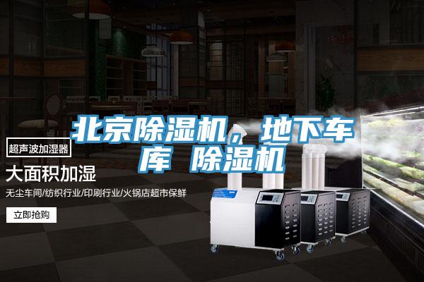 北京草莓视频污污污污，地下車庫 草莓视频污污污污