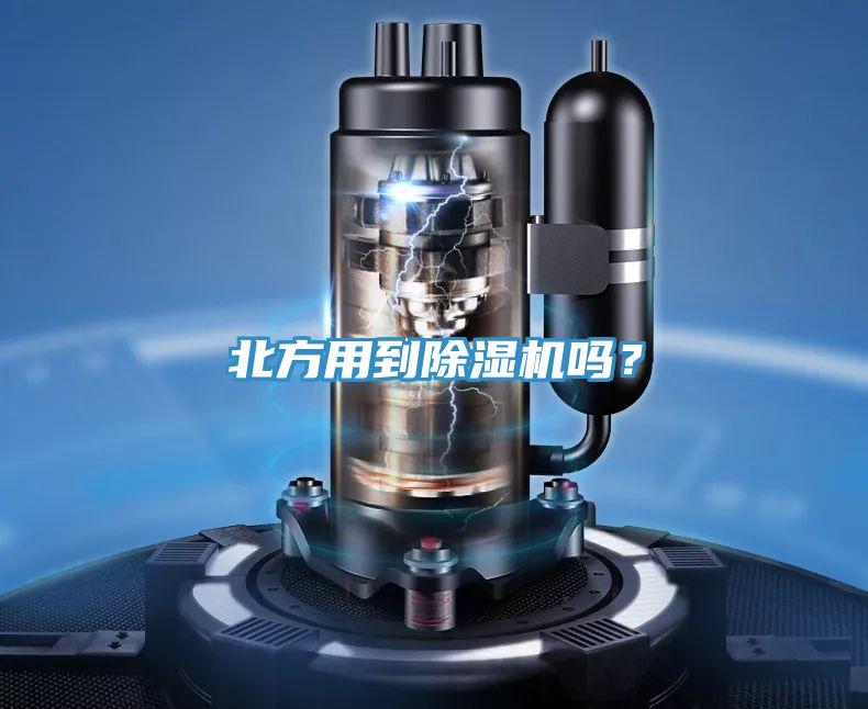 北方用到草莓视频污污污污嗎？