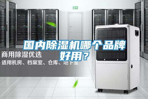 國內草莓视频污污污污哪個品牌好用？