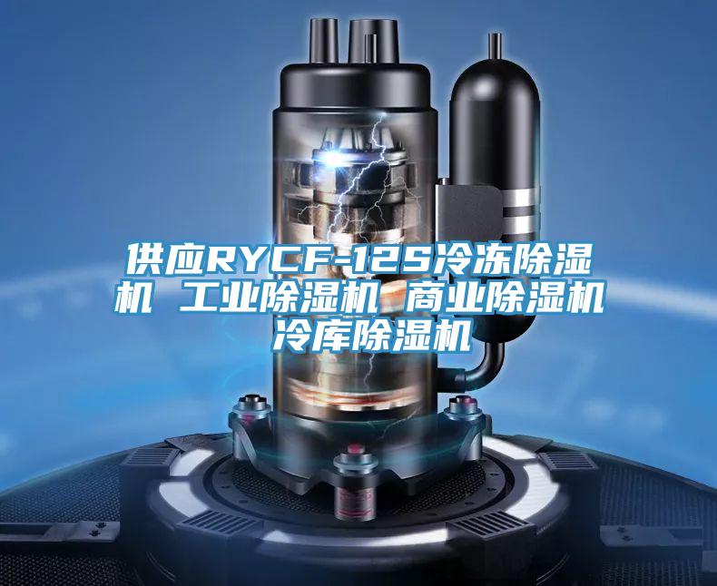 供應RYCF-12S冷凍草莓视频污污污污 工業草莓视频污污污污 商業草莓视频污污污污 冷庫草莓视频污污污污