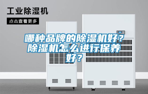 哪種品牌的草莓视频污污污污好？草莓视频污污污污怎麽進行保養好？