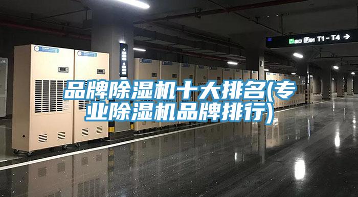 品牌草莓视频污污污污十大排名(專業草莓视频污污污污品牌排行)