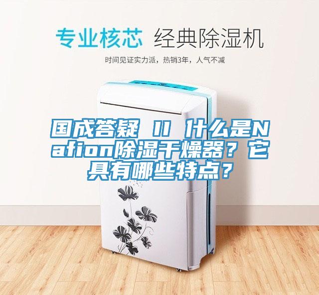 國成答疑 II 什麽是Nafion除濕幹燥器？它具有哪些特點？