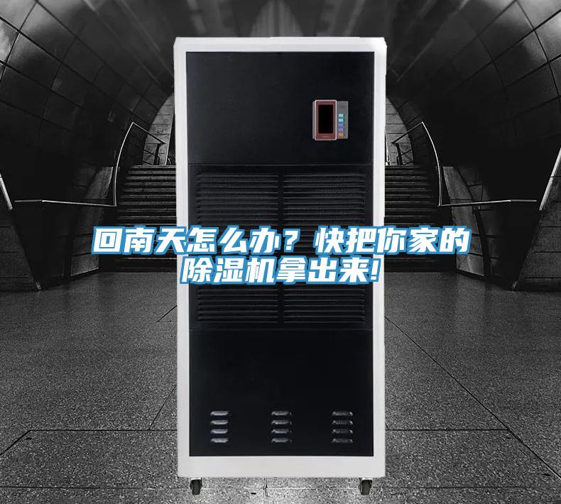 回南天怎麽辦？快把你家的草莓视频污污污污拿出來!