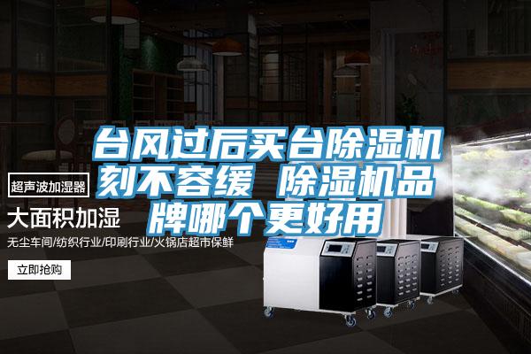 台風過後買台草莓视频污污污污刻不容緩 草莓视频污污污污品牌哪個更好用